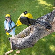 Best Pest Control for Lawns  in Temple, GA