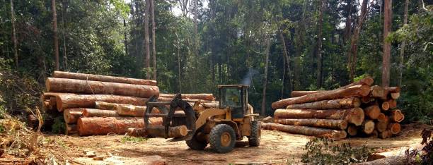 Best Grass Overseeding  in Temple, GA